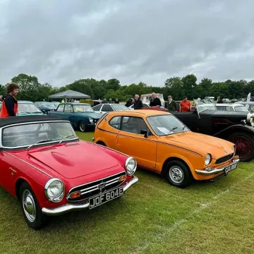 520005686_31466982409566900_52