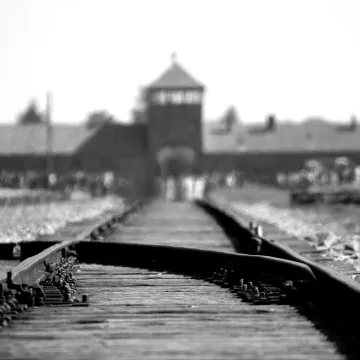 Black and white image of Auschwitz Birkenau railway tracks, symbolizing WWII history.