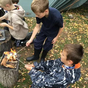 FS3