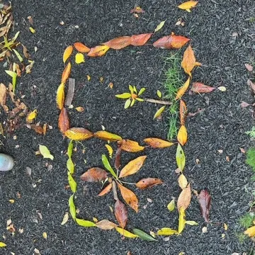 Fs1