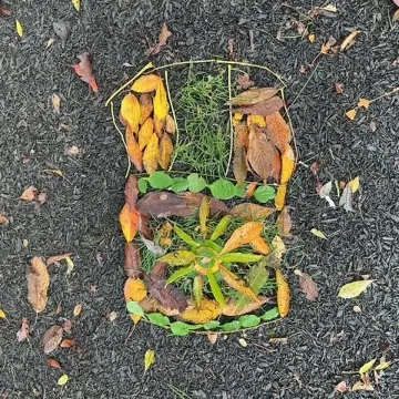 Fs3