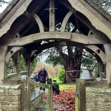 169aa276-4a0e-4e24-8bc8-742b774b5814