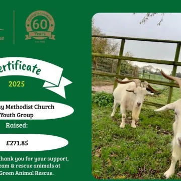 2025 12 &ndash; Margaret Green