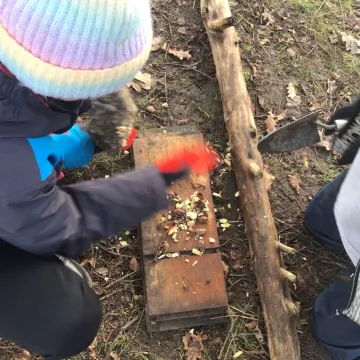 423b7191-4c53-4589-A2f9-4c649da06cd8