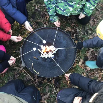 5547d0d3-9953-456d-8072-18f3cd2b1cd6