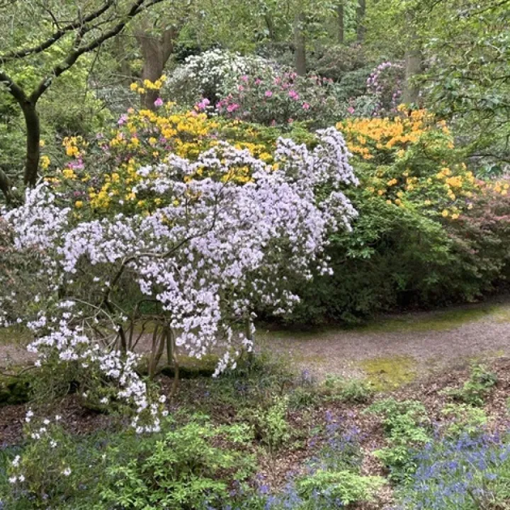 Image1