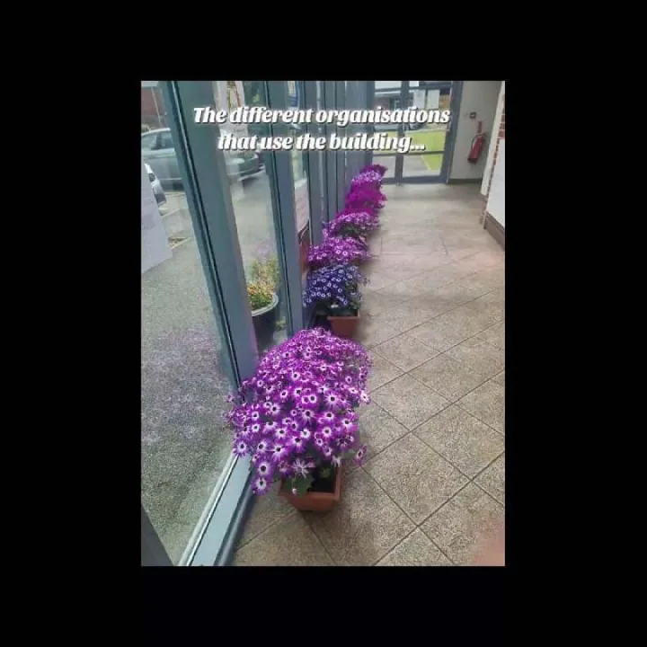 Flower Festival