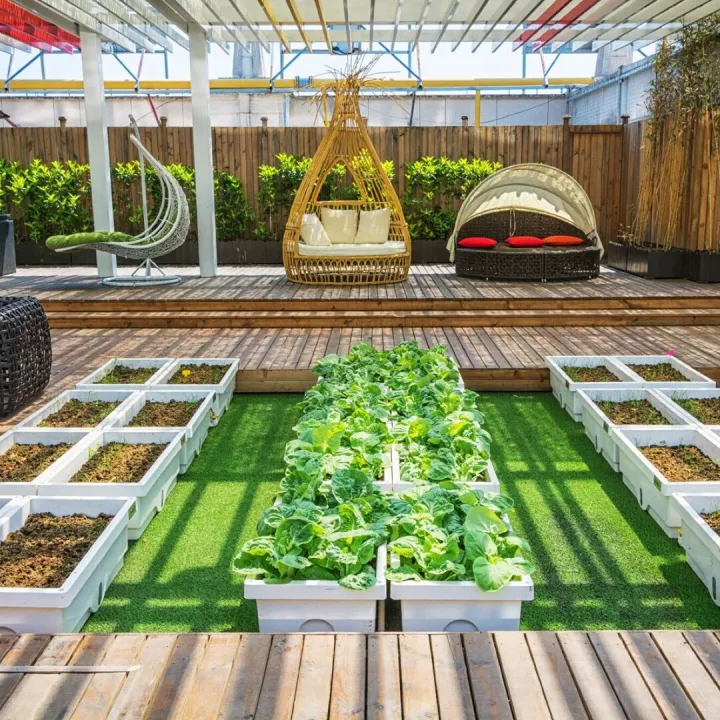 A covered lifestyle garden with indoor and outdoor living
