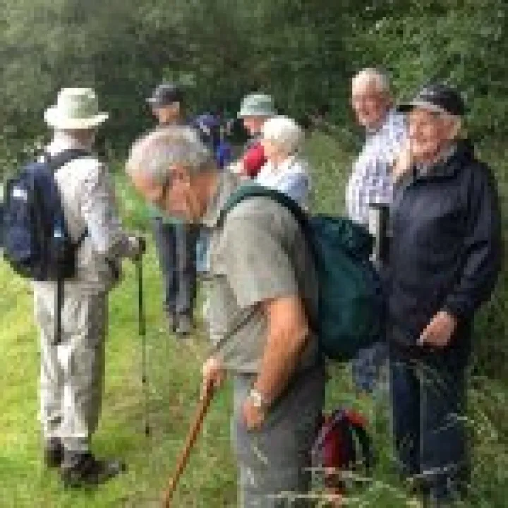 Smiling Stalwart Walkers in the rain