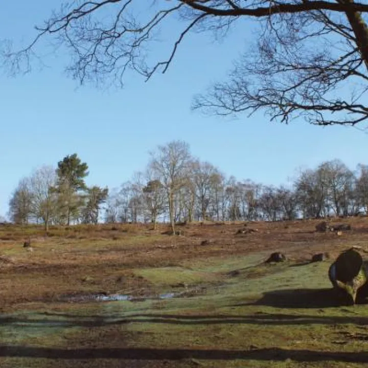 Bickerton Hill &ndash; before restoration