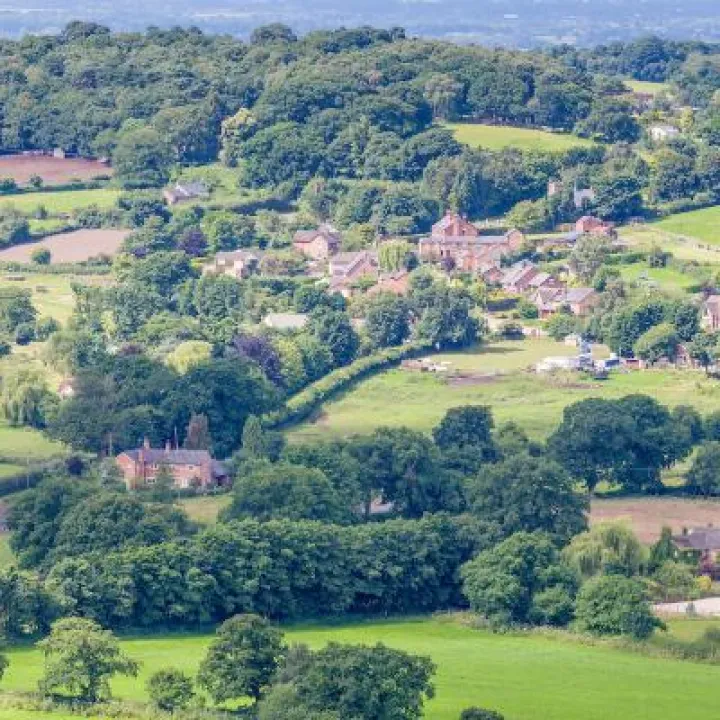 View from Sandstone Trail on Bickerton Hill 14