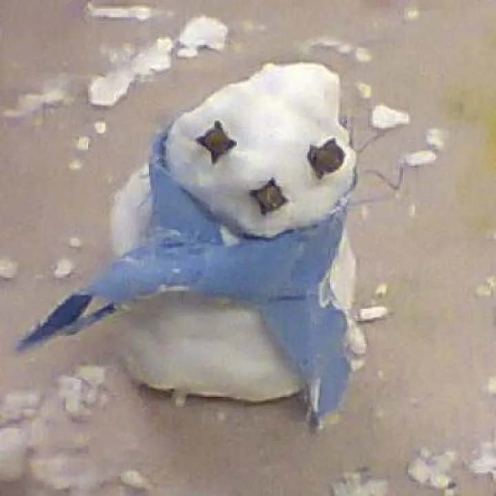 Artificial snowman Jan 18