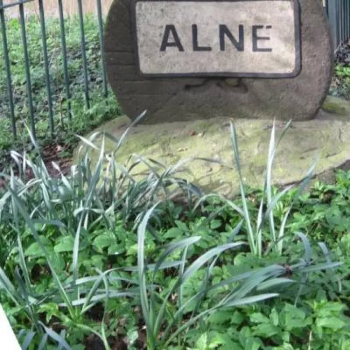 Alne rock sign