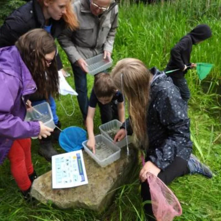 Pond dipping 19 Looking