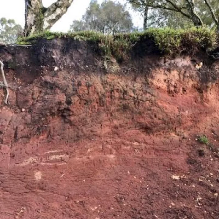 Bickerton Geology Walk