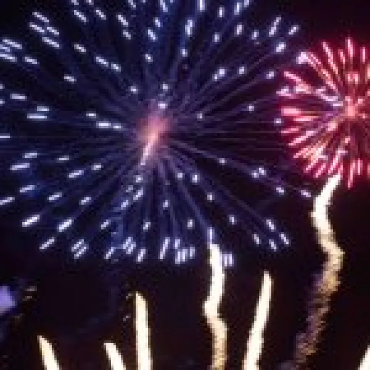 Firework Night 20