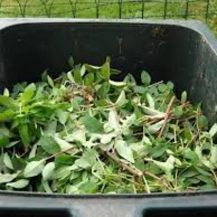 Garden Waste