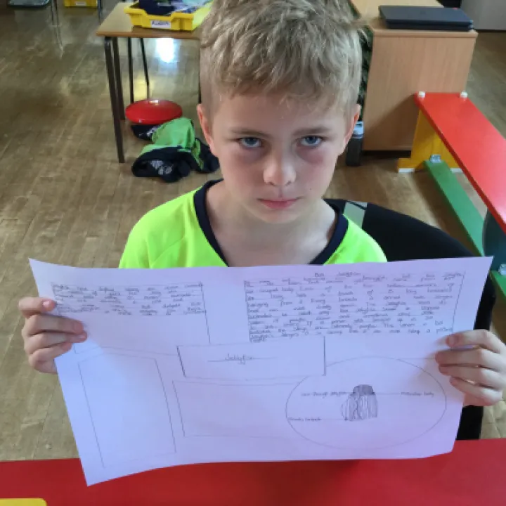 Image: 0B7E01FC-93DB-48EA-89A2-5EAD8A73F11F