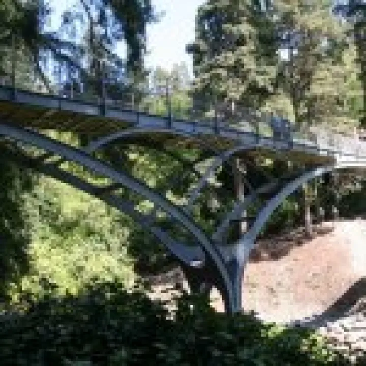 Northumbria 2009 074