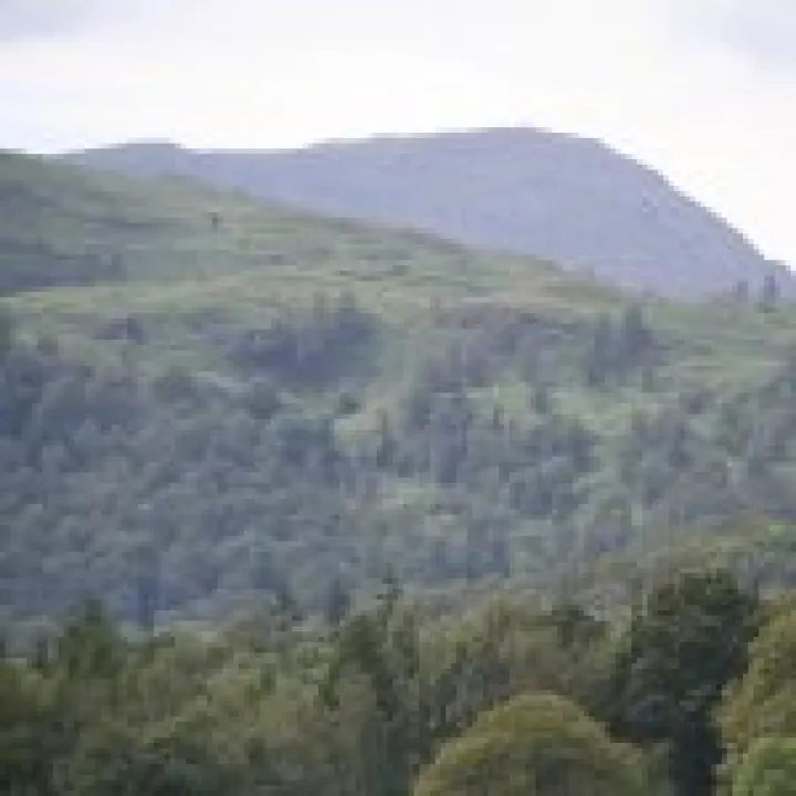 Canon 350D Feb2010 406