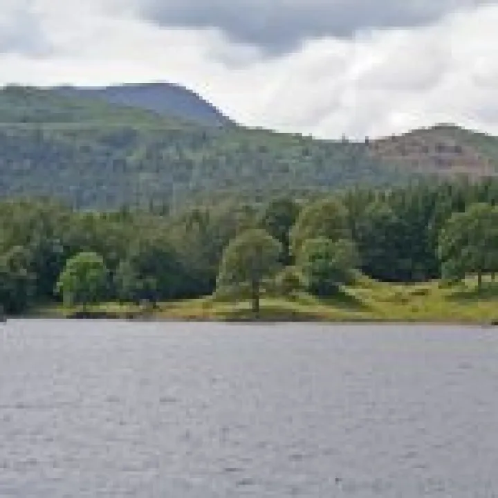 Canon 350D Feb2010 407