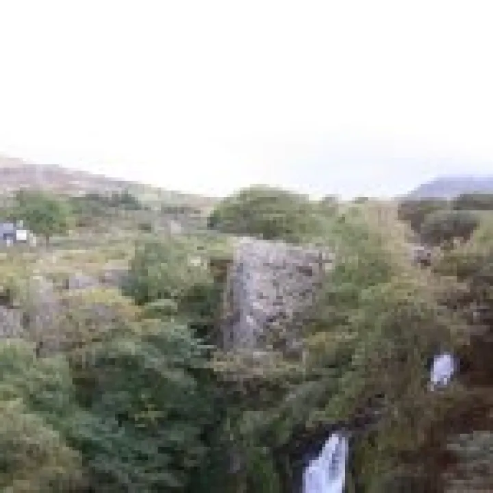 Canon 350D Feb2010 538