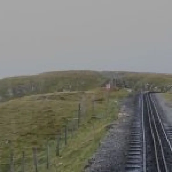 Canon 350D Feb2010 537