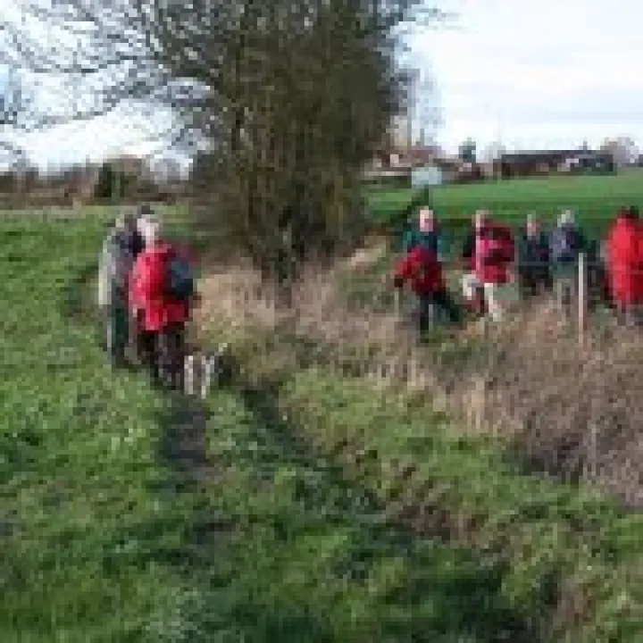 Canon 350D Feb2010 712