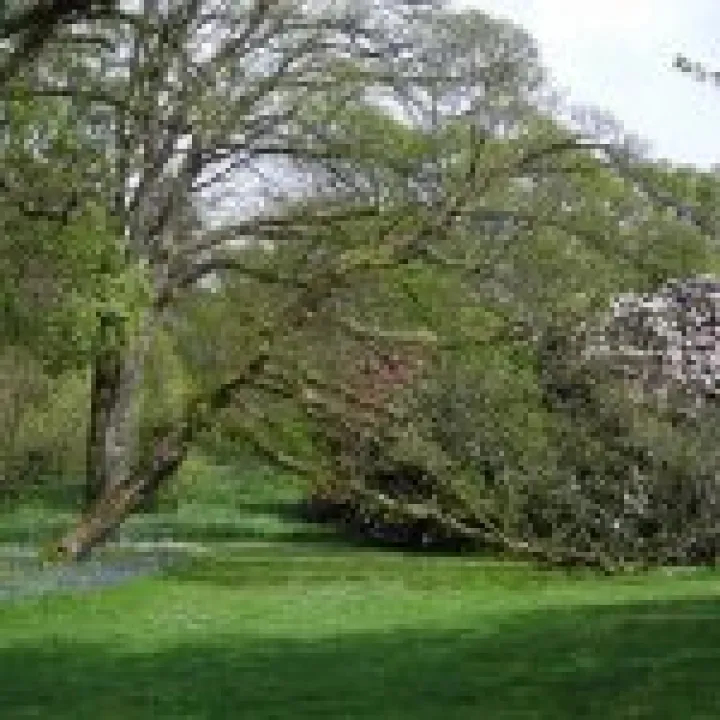 Holker Hall Visit 031