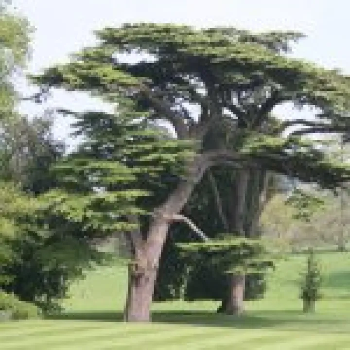 20060510 0040