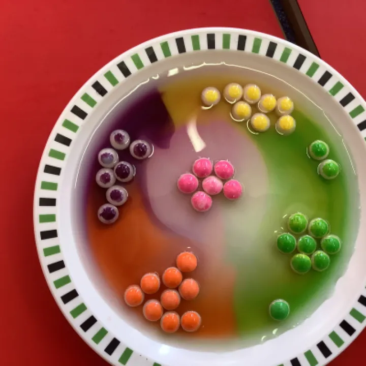 Image: 42EEC4C0-061E-4D67-BBE7-675AD0B27985