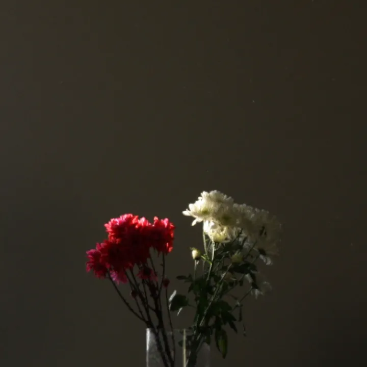 Image: 08 Intermediate2 Aoife 29072021