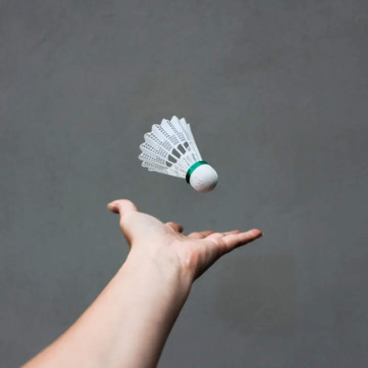 Badminton