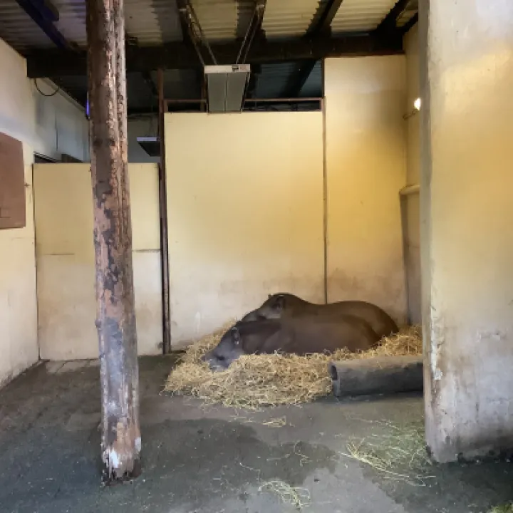 A5D3021A-D6B1-46FC-83E5-4550C91FA7BA