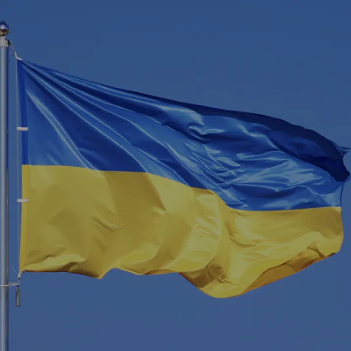 Ukrainian flag