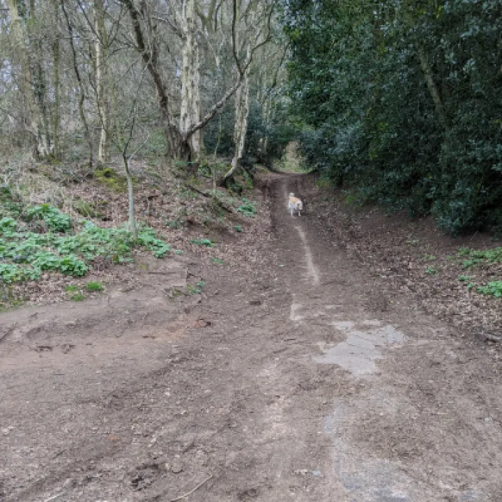 PXL_20220321_110741577-MP