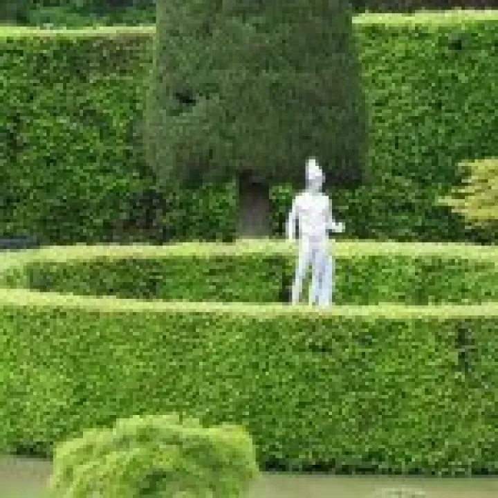 Drummond Gardens jpg12