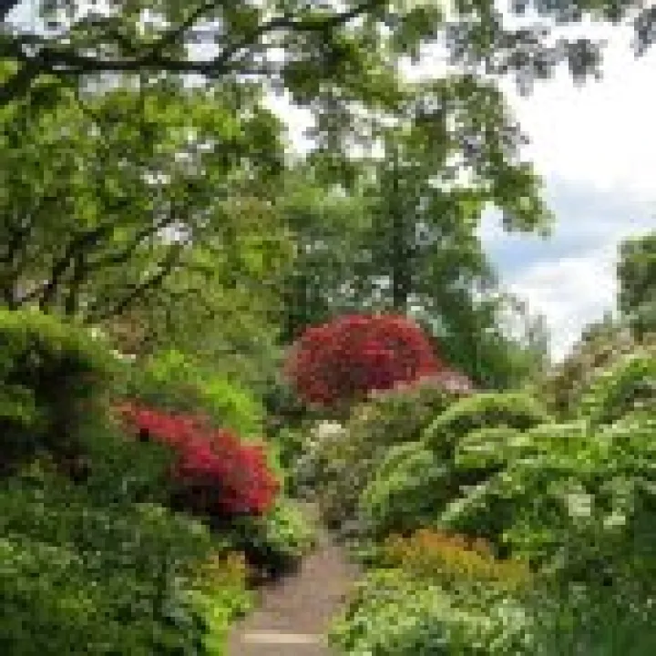 Branklyn Gardens jpg7