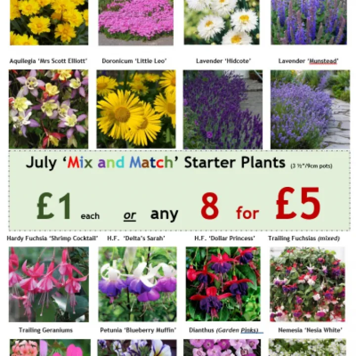 Mix and Match July 16th 2022