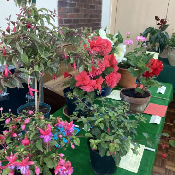 THS 2022 Flowers (1) IMG_0124[358013]