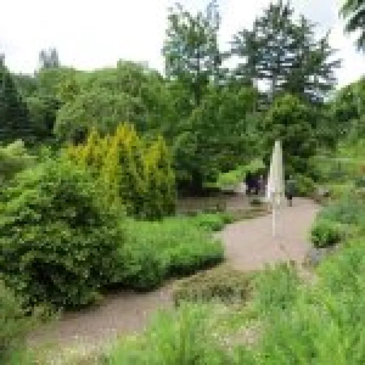 Ness Gardens jpg39