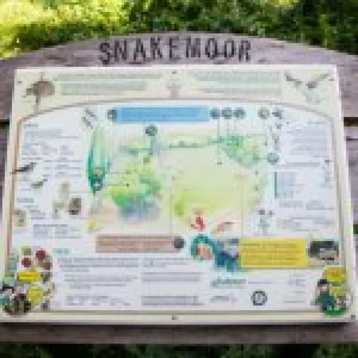 Snakemoor 01