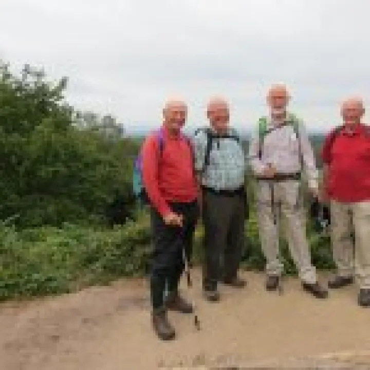 2014 Bickerton Hill Walk