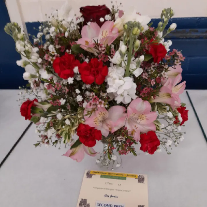 Image: 20230429 105241