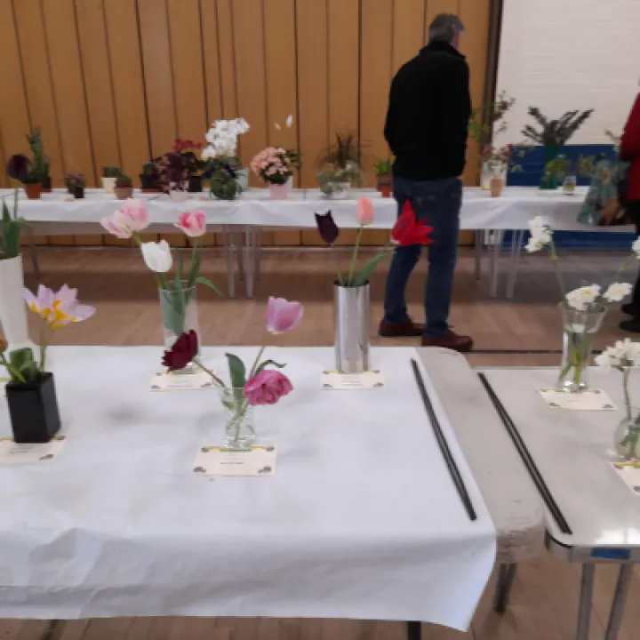 Image: 20230429 105409