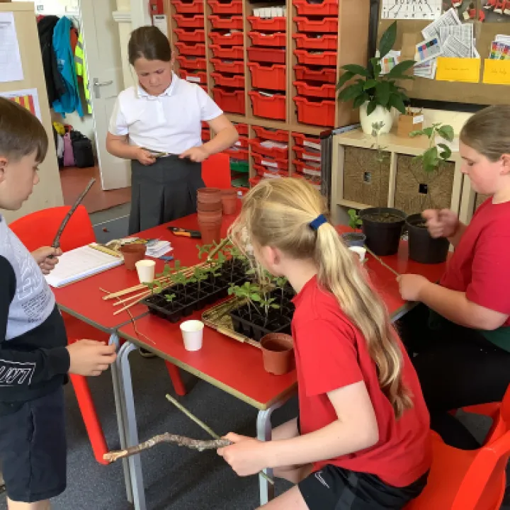 C05E518C-6BE9-4E91-89CD-237023226E0D