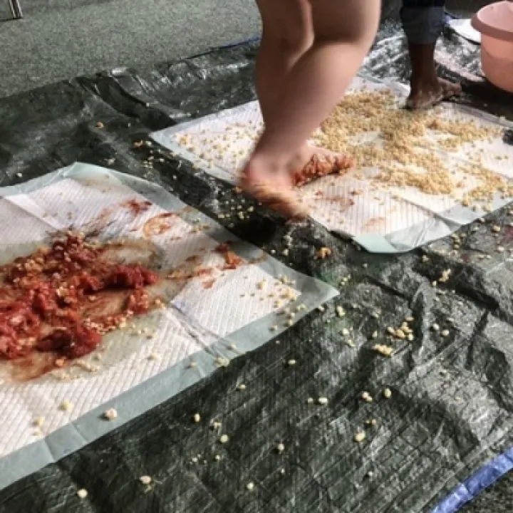 Messy Stars PHOTO 28