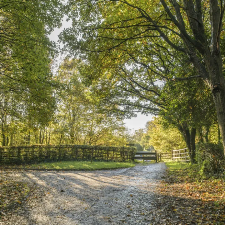 Image: 20231111 102837 Enhanced NR