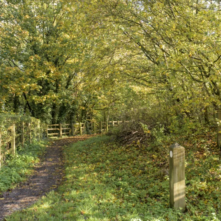 Image: 20231111 103018 Enhanced NR