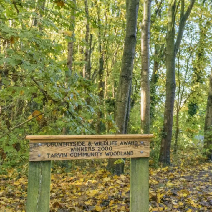 Tarvin Community Woodland